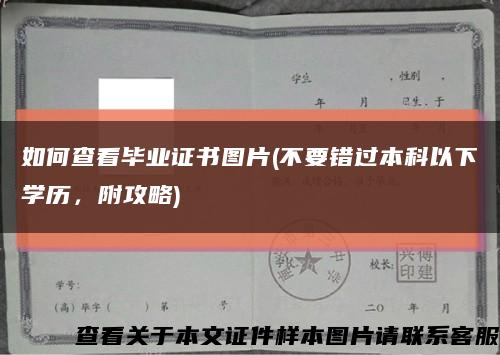 如何查看毕业证书图片(不要错过本科以下学历，附攻略)缩略图