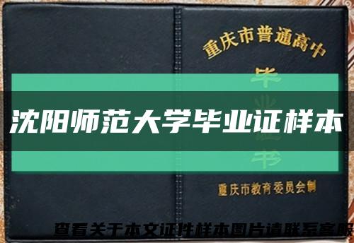 沈阳师范大学毕业证样本缩略图