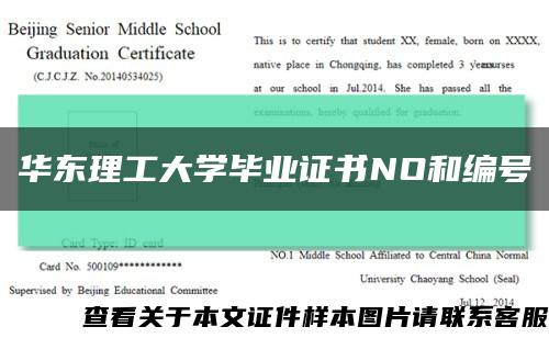 华东理工大学毕业证书NO和编号缩略图