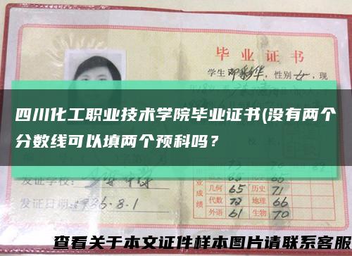 四川化工职业技术学院毕业证书(没有两个分数线可以填两个预科吗？缩略图