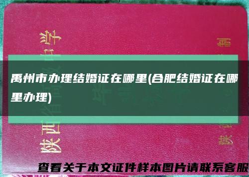 禹州市办理结婚证在哪里(合肥结婚证在哪里办理)缩略图