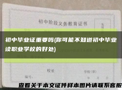 初中毕业证重要吗(你可能不知道初中毕业读职业学校的好处)缩略图