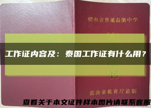 工作证内容及：泰国工作证有什么用？缩略图