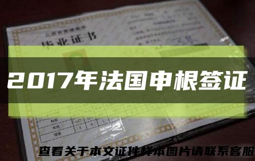 2017年法国申根签证缩略图