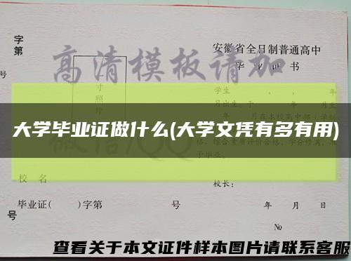 大学毕业证做什么(大学文凭有多有用)缩略图