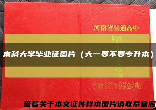 本科大学毕业证图片（大一要不要专升本）缩略图