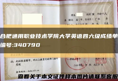 合肥通用职业技术学院大学英语四六级成绩单编号:340790缩略图