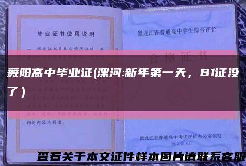 舞阳高中毕业证(漯河:新年第一天，B1证没了）缩略图