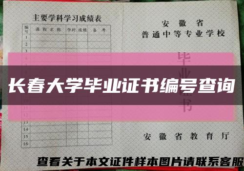 长春大学毕业证书编号查询缩略图