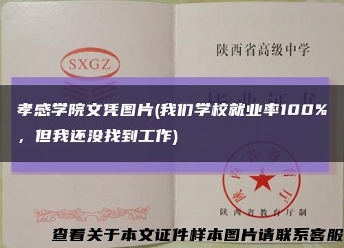 孝感学院文凭图片(我们学校就业率100%，但我还没找到工作)缩略图