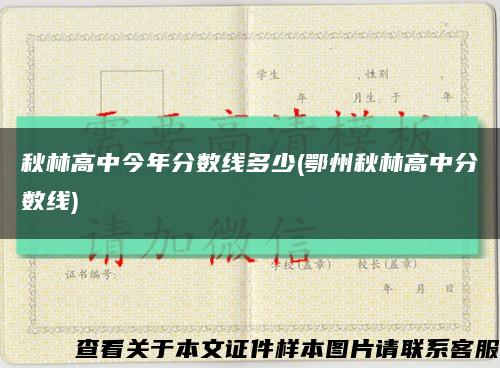 秋林高中今年分数线多少(鄂州秋林高中分数线)缩略图