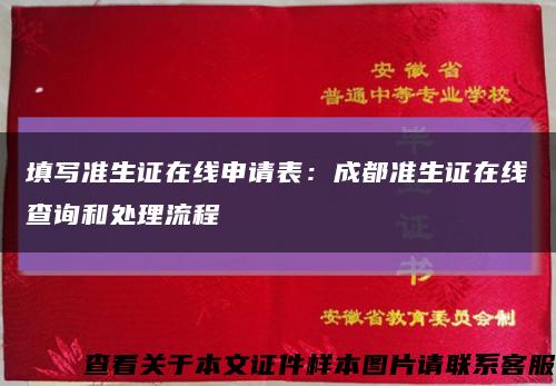 填写准生证在线申请表：成都准生证在线查询和处理流程缩略图