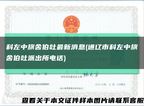 科左中旗舍伯吐最新消息(通辽市科左中旗舍伯吐派出所电话)缩略图