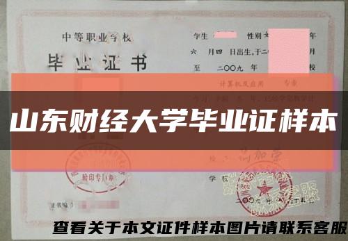 山东财经大学毕业证样本缩略图