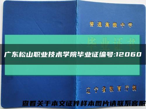 广东松山职业技术学院毕业证编号:12060缩略图