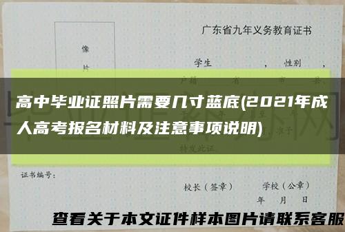 高中毕业证照片需要几寸蓝底(2021年成人高考报名材料及注意事项说明)缩略图