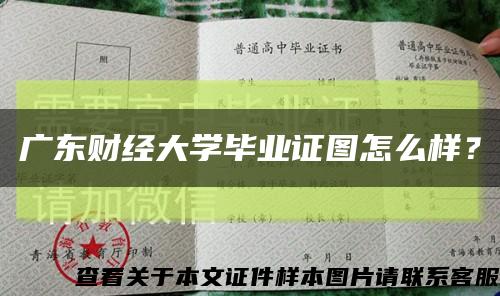 广东财经大学毕业证图怎么样？缩略图