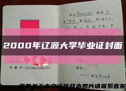 2000年辽源大学毕业证封面缩略图