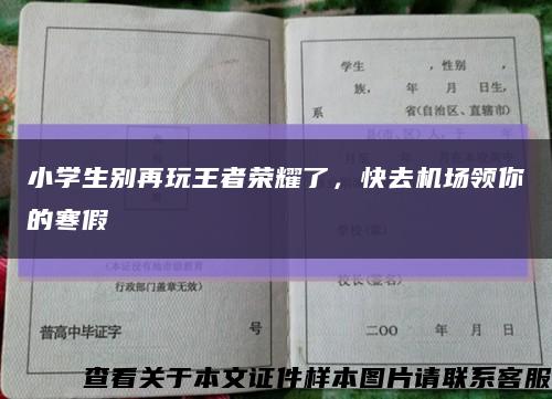 小学生别再玩王者荣耀了，快去机场领你的寒假缩略图