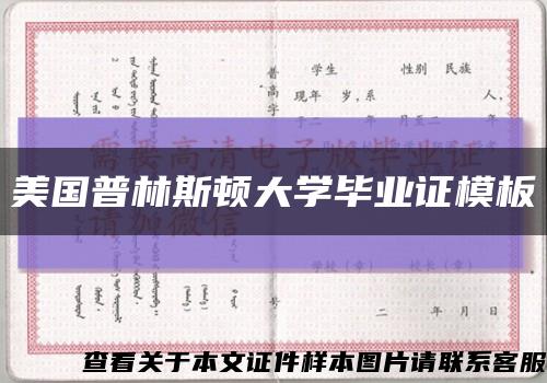 美国普林斯顿大学毕业证模板缩略图