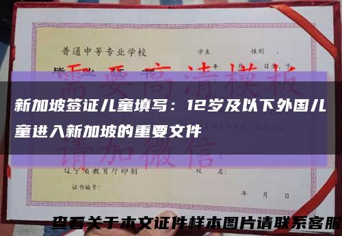 新加坡签证儿童填写：12岁及以下外国儿童进入新加坡的重要文件缩略图