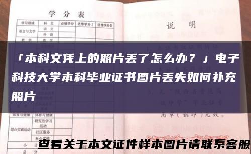 「本科文凭上的照片丢了怎么办？」电子科技大学本科毕业证书图片丢失如何补充照片缩略图