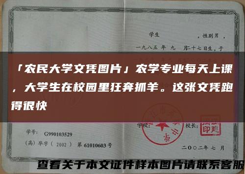 「农民大学文凭图片」农学专业每天上课，大学生在校园里狂奔抓羊。这张文凭跑得很快缩略图