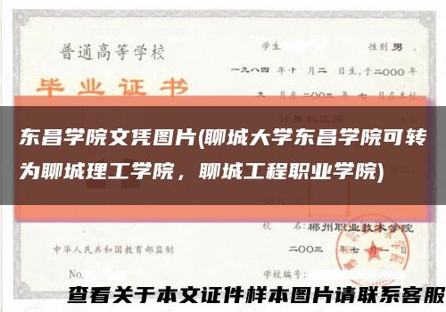 东昌学院文凭图片(聊城大学东昌学院可转为聊城理工学院，聊城工程职业学院)缩略图