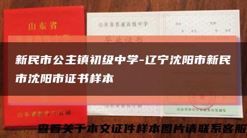 新民市公主镇初级中学-辽宁沈阳市新民市沈阳市证书样本缩略图