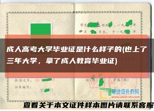 成人高考大学毕业证是什么样子的(也上了三年大学，拿了成人教育毕业证)缩略图