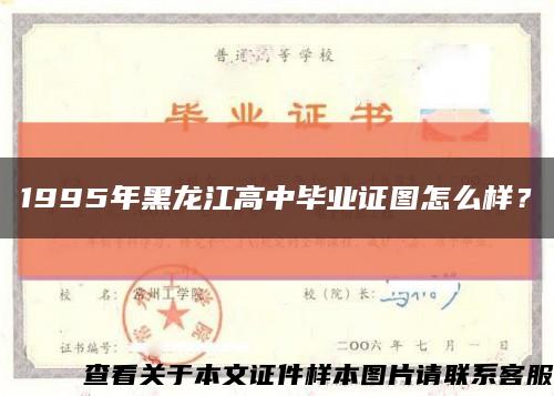 1995年黑龙江高中毕业证图怎么样？缩略图