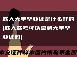 成人大学毕业证是什么样的(成人高考可以拿到大学毕业证吗)缩略图