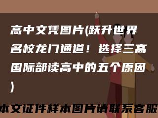 高中文凭图片(跃升世界名校龙门通道！选择三高国际部读高中的五个原因)缩略图