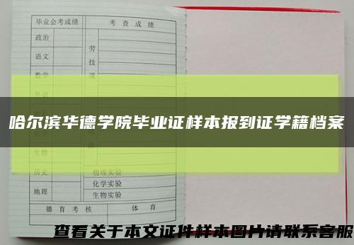 哈尔滨华德学院毕业证样本报到证学籍档案缩略图