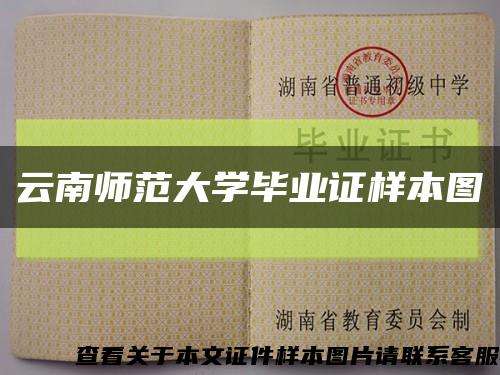 云南师范大学毕业证样本图缩略图