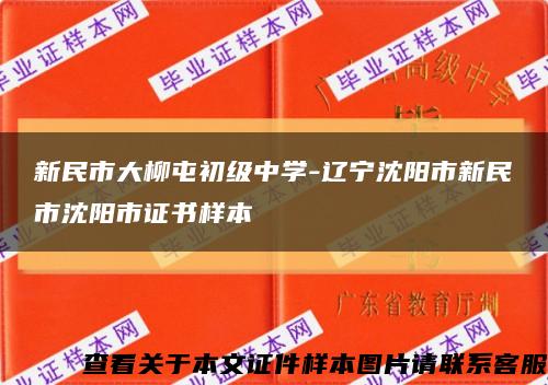 新民市大柳屯初级中学-辽宁沈阳市新民市沈阳市证书样本缩略图