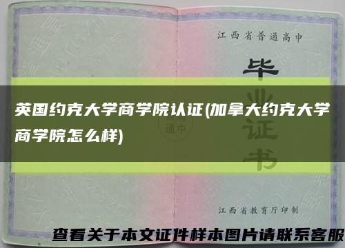 英国约克大学商学院认证(加拿大约克大学商学院怎么样)缩略图