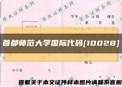 首都师范大学国际代码[10028]缩略图