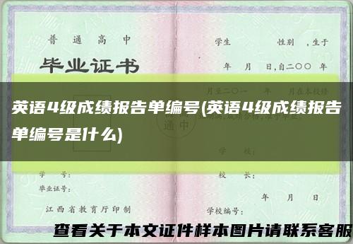 英语4级成绩报告单编号(英语4级成绩报告单编号是什么)缩略图