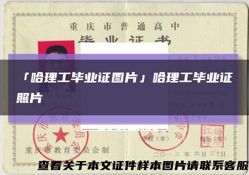 「哈理工毕业证图片」哈理工毕业证照片缩略图