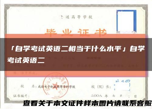 「自学考试英语二相当于什么水平」自学考试英语二缩略图