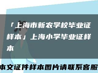 「上海市新农学校毕业证样本」上海小学毕业证样本缩略图