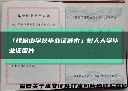 「橡树山学校毕业证样本」树人大学毕业证图片缩略图