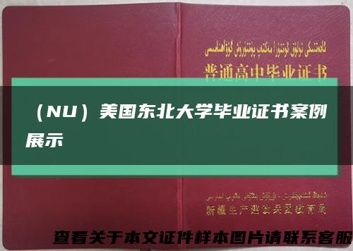 （NU）美国东北大学毕业证书案例展示缩略图