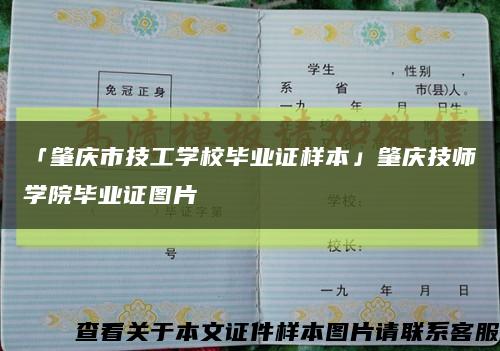 「肇庆市技工学校毕业证样本」肇庆技师学院毕业证图片缩略图