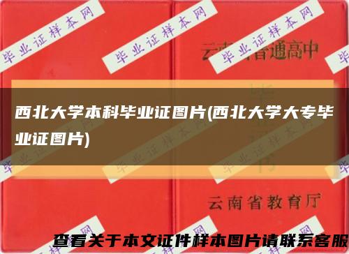 西北大学本科毕业证图片(西北大学大专毕业证图片)缩略图