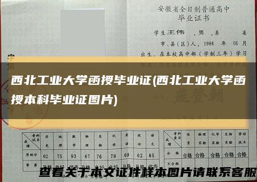 西北工业大学函授毕业证(西北工业大学函授本科毕业证图片)缩略图