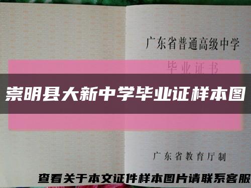 崇明县大新中学毕业证样本图缩略图