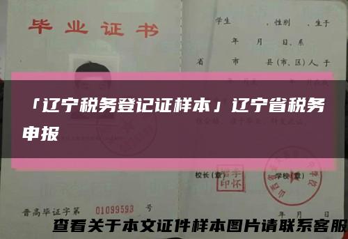 「辽宁税务登记证样本」辽宁省税务申报缩略图