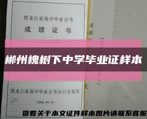 郴州槐树下中学毕业证样本缩略图